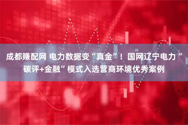 成都赚配网 电力数据变“真金”！国网辽宁电力“碳评+金融”模式入选营商环境优秀案例